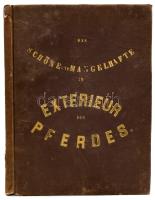 F. Steinhoff und Ch. Peters. Alken, Henry: Das Schöne und Mangelhafte im Exterieur des Pferdes. Nach...