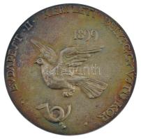 DN "Budapest II. kerületi Bélyeggyűjtő Kör 1899" öntött, ezüstözött bronz plakett (80mm) T:1- patina