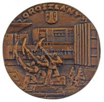 ~1960-1980. Oroszlány egyoldalas bronz emlékérem (88mm) T:1-