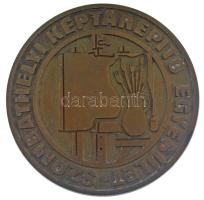 ~1970-1980. Szombathelyi Képtárépítő Egyesület egyoldalas bronz emlékérem (105 mm) T:1-