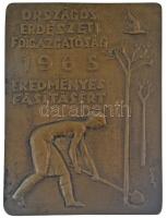 Szabó Iván (1913-1998) 1965. Országos Erdészeti Főigazgatóság - Eredményes fásításért bronzírozott alumínium plakett, hátoldalán két rögzítőponttal (112x85mm) T:1-