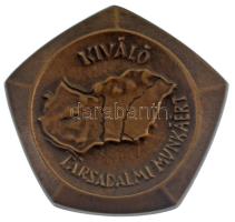 ~1970-1980. Kiváló Társadalmi Munkáért egyoldalas bronz emlékplakett (84x90mm) T:1-