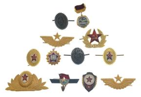 Szovjetunió 12db-os sapkajelvény- és jelvénytétel T:1-2 Soviet Union 12pcs cap badge and badge lot C:UNC-XF
