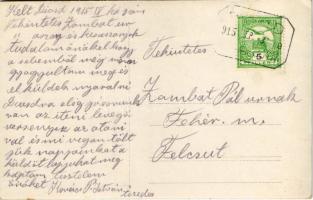 1915 Tétény-Diósd (Nagytétény) kisegítő kórház, katonák. photo