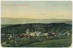1910 Vízakna sós-gyógyfürdő, Salzburg, Ocna Sibiului; (EK)
