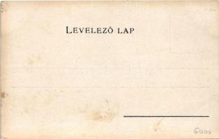 Balatonfüred, Balaton térkép, szálloda, villa, fürdő. Károlyi Gy. kiadása. Art Nouveau, floral, lith...