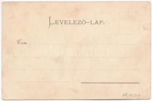 Vajdahunyad, Hunedoara; vár. Graef H. 3107. / cetatea / castle. Art Nouveau, floral, litho (EK)