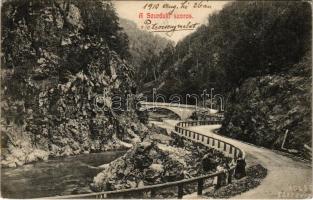 1910 Petrozsény, Petrosany, Petrosani; szurduki szoros. Adler fényirda 93. 1909. / Pasul Surduc / mountain pass (EK)