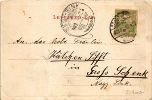 1903 Nagyszeben, Hermannstadt, Sibiu; Fleischergasse / utca. Karl Graef kiadása / street (szakadás /...