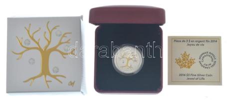 Kanada 2014. 3D Ag "Az élet ékszere / II. Erzsébet" részben aranyozott, Swarovski kristály...