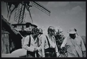 cca 1989 Szélmalom a Velencei-tó partján, a Szúnyog szigeten forgatott film díszlete volt, ezért életkora mindössze néhány hét, 1 db mai nagyítás, 10x15 cm / windmill, film set, modern copy of vintage photo