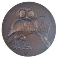 Ligeti Erika (1934-2004) 1986. 425 éves a debreceni nyomdászat kétoldalas, öntött bronz emlékérem (65mm) T:UNC