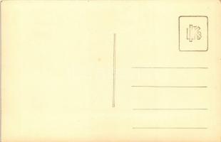 Tusnád, Remény és Margit Villa / villas. photo