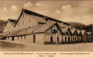 Feketeerdő, Padurea Neagra; Fabrica de Sticla / Üveggyár / Schwarzwalder Glashüttenwerke / glassworks, glass factory (EK)