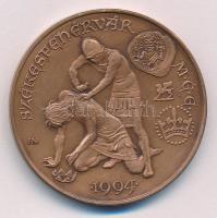 Fritz Mihály (1947-) 1994. "MÉE Székesfehérvár - Aba Sámuel és Péter" bronz emlékérem (42,...