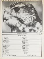 1986 Homoki-Nagy István természetfotói, fekete-fehér fotókkal illusztrált asztali naptár, kissé folt...