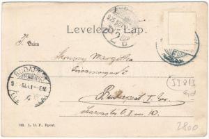 1905 Szatmárnémeti, Szatmár, Satu Mare; Deák tér nyugati része, üzletek, piac. Hollósi felvétele / s...