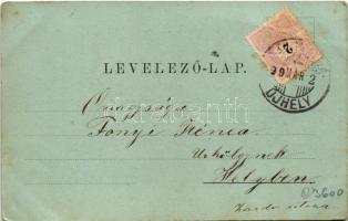 1899 (Vorläufer) Kolozsvár, Cluj; New York szálloda, Csiky Mihály, Schuster Emil üzlete. Kováts P. f...