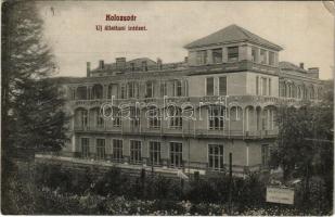 1911 Kolozsvár, Cluj; Új állattani intézet. Sámuel S. Sándor kiadása / zoological insitute (EK)