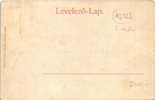 Felsőbánya, Baia Sprie; Feketehegyi út. Szabó Károly kiadása. Túry József amatőr felvétele / road (f...