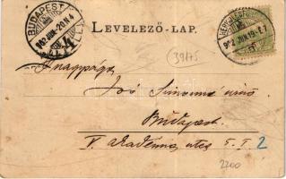 1902 Herkulesfürdő, Baile Herculane; Cserna-völgy, villa. R. Krizsány kiadása / Cserna-Thal / valley...