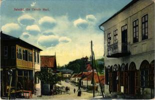 Ocnele Mari (Valcea), street view (EK)