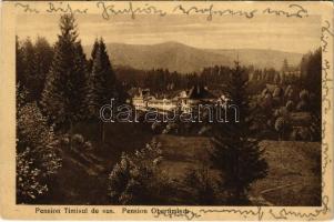 1925 Felsőtömös, Felső-Tömös, Timisu de Sus (Brassó, Kronstadt, Brasov); Pension Timisul de Sus / Felsőtömös penzió / hotel (fa)