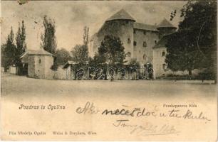1902 Ogulin, Frankopanova Kula / castle (EK)