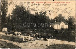 1908 Zagreb, Zágráb; Partija u Maksimirskom parku / ökör szekerek a parknál / oxen carts at the park (EK)