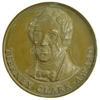 2000. Tierney Clark - Award / Award Winner a 2000-ben alapított Tierney Clark-díj műanyagból készült pozitív öntőmintája (99mm) T:1-