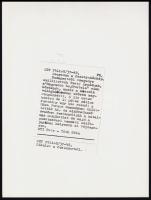 1974 és 1980 Két felvétel a Feszty-körkép restaurálásáról, hátoldalán felirat, ezüst zselatinos fotó...