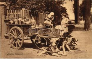 Laitiere Flamande / Flamand tejárus kutyás kocsival / Flemish folklore, milk vendor with dog cart