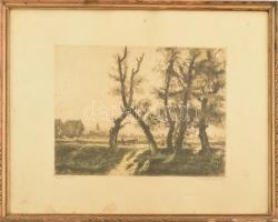 Zádor István (1882-1963): Szajoli országút, színezett rézkarc, papír, jelzett, üvegezett sérült fa keretben, foltos papírral, 23×30 cm, keret: 40x49 cm