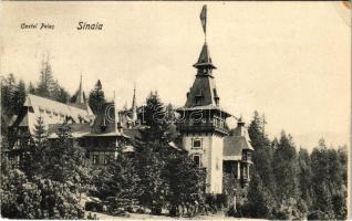 Sinaia, Castel Peles / castle (EK)