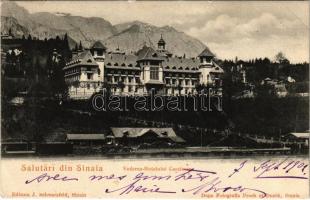 1902 Sinaia, Vederea Hotelului Caraiman / hotel, railway station (EK)