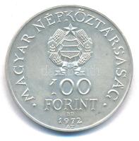 1972. 100Ft Ag "Budapest" T:AU
Adamo EM40