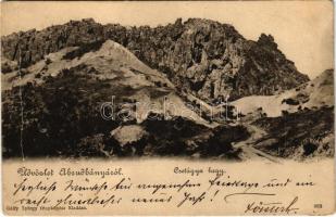 1903 Abrudbánya, Abrud; Csetágya hegy. Gálfy György fényképész kiadása / mountain (Rb)