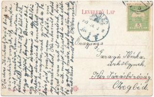 1909 Sepsiszentgyörgy, Sfantu Gheorghe; Fő tér, piac, Bikfalvi, Berkovics Herman üzlete, Városháza, ...