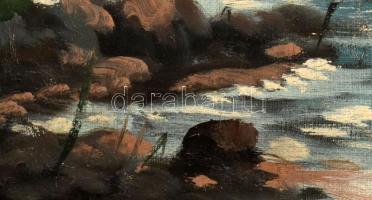 Olvashatatlan jelzéssel: Viharos Balaton. Olaj, vászon, sérült. Dekoratív fakeretben. 60x80 cm