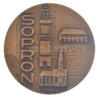 Renner Kálmán (1927-1994) 1977. "Sopron 1277-1977" kétoldalas bronz emlékérem (60mm) T:XF ...