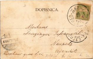 1904 Dálya, Dalja, Dalj; Gőzkomp Gombos és Erdőd között a szabad Dunán, gőzmozdony kompra állítása. ...