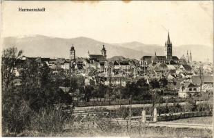 1917 Nagyszeben, Hermannstadt, Sibiu; látkép. G. A. Seraphin kiadása / general view (fl)