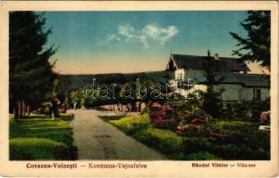 Vajnafalva, Voinesti (Kovászna, Covasna); villa sor / Randul vilelor / villas (EK)