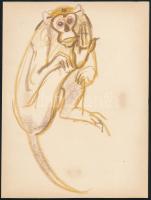 Róna Emy (1904-1988), 2 db mű: Majmok. Kréta, papír, egyik hátoldalán hagyatéki pecséttel jelzett, 30×21 és 24x18 cm