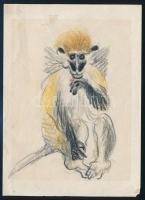Róna Emy (1904-1988), 2 db mű: Majmok. Kréta, papír, egyik jelzett és datált (Róna Emy 1963), a jelz...