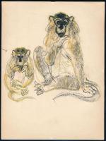 Róna Emy (1904-1988), 2 db mű: Majmok. Kréta, papír, egyik hátoldalán hagyatéki pecséttel jelzett, 2...