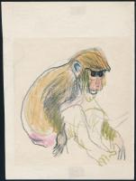 Róna Emy (1904-1988): Ülő majom. Kréta, papír, hátoldalán hagyatéki pecséttel jelzett, 21x15,5 cm