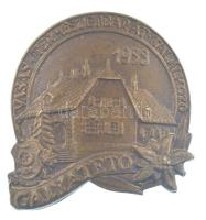 1958. Galyatető - Vasas Természetbarát Találkozó bronz turistajelvény (31x31mm) T:1-