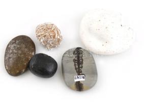 5 db ásvány: Tündérkő, sivatagi rózsa, nummit, pirit, porcelanit, 2,5-6 cm