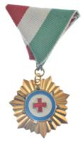 ~1980-1990. Vöröskeresztes Tevékenységért Kitüntetés Arany Fokozat aranyozott bronz kitüntetés mellszalagon T:AU